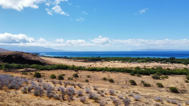 Listing Image for 814 Honoapiilani Hwy 26-a 21 of 25