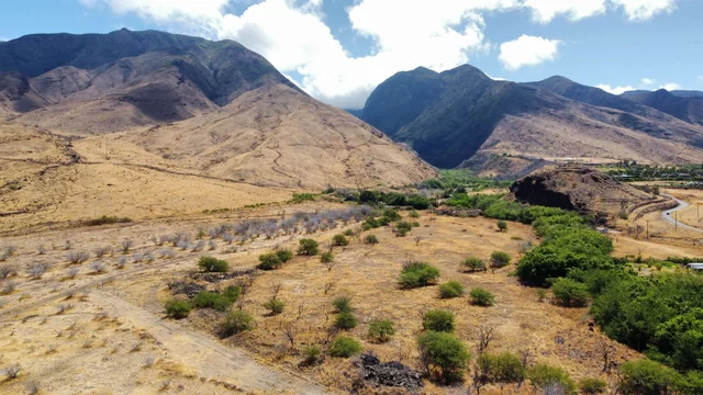 Listing Image for 814 Honoapiilani Hwy 26-a 23 of 25