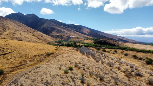 Listing Image for 814 Honoapiilani Hwy 26-a 4 of 25