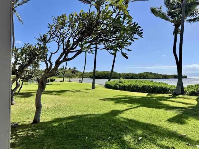 Listing Image for 7142 Kamehameha V Hwy A 105 24 of 27