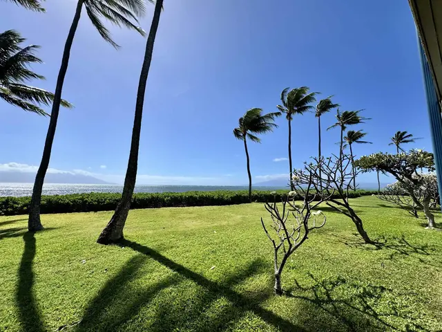 Listing Image for 7142 Kamehameha V Hwy A 105 26 of 27