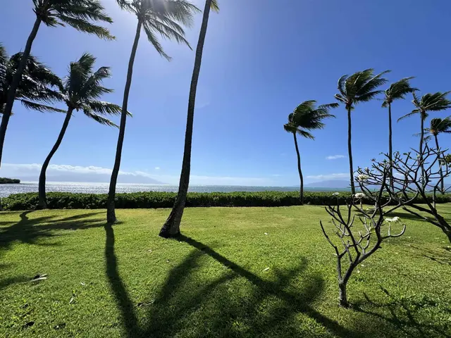 Listing Image for 7142 Kamehameha V Hwy A 105 27 of 27