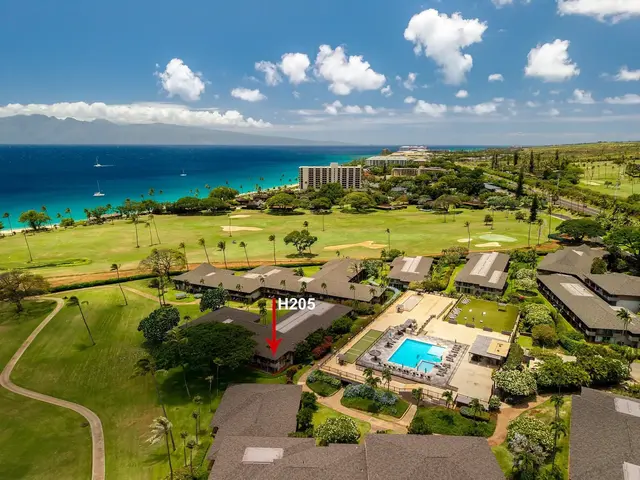 Listing Image for 2661 Kekaa Dr H205 2 of 47