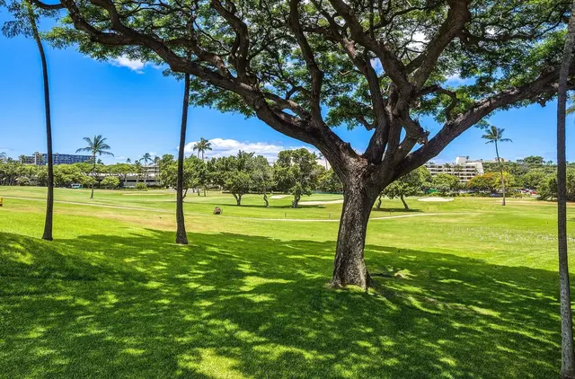 Listing Image for 2661 Kekaa Dr H205 26 of 47