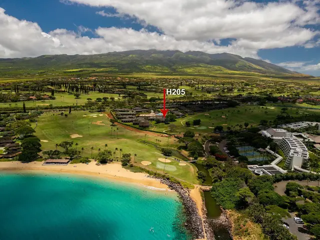 Listing Image for 2661 Kekaa Dr H205 31 of 47