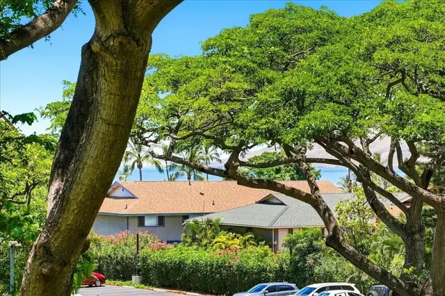 Listing Image for 2191 S Kihei Rd 2215 10 of 25
