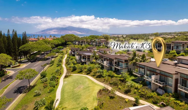 Listing Image for 125 Holomoana Way 103 (3c) 39 of 47