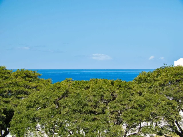 Listing Image for 125 Holomoana Way 103 (3c) 46 of 47