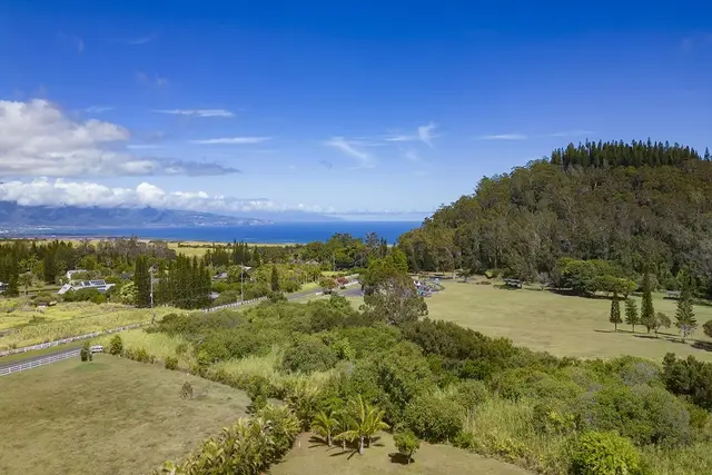 Listing Image for 45 Kapii Pl 39 of 40
