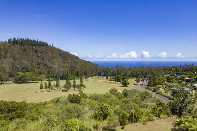 Listing Image for 45 Kapii Pl 40 of 40
