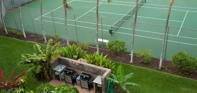 Listing Image for 2191 S Kihei Rd 1305 19 of 19