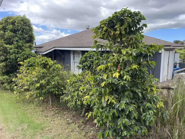 Listing Image for 91 Waiakoa Rd 32 of 33
