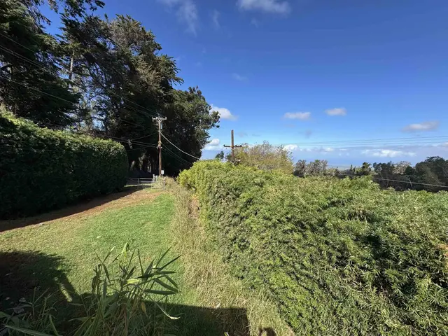 Listing Image for 91 Waiakoa Rd 5 of 33