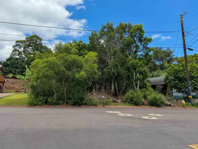 Listing Image for 2108 Akeu Way 1 of 9