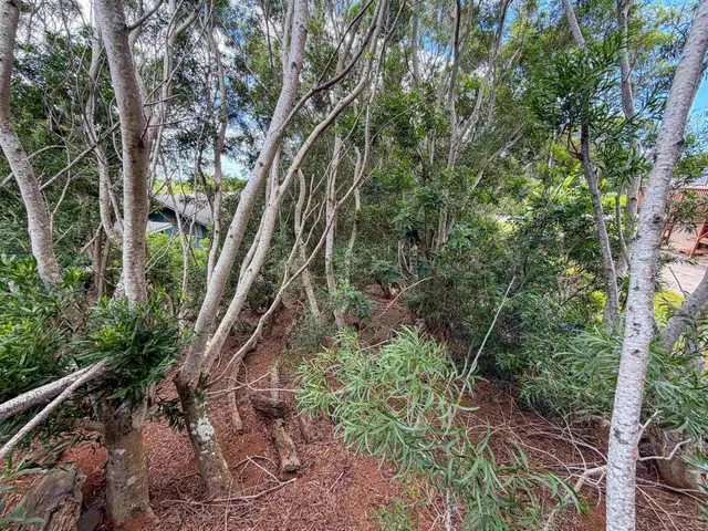 Listing Image for 2108 Akeu Way 3 of 9