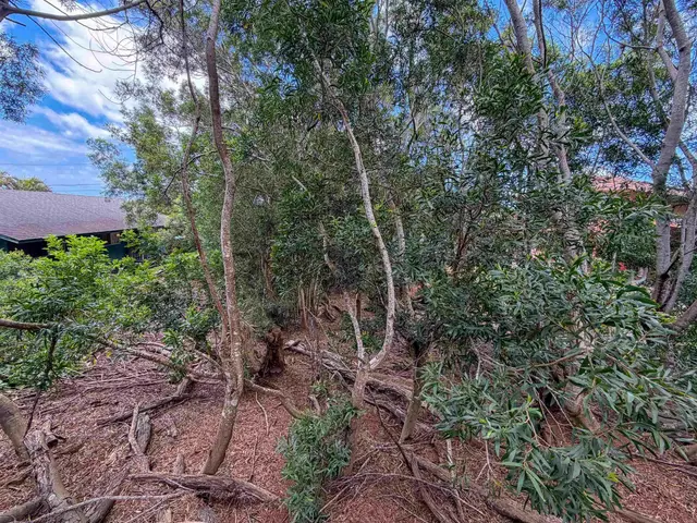 Listing Image for 2108 Akeu Way 4 of 9