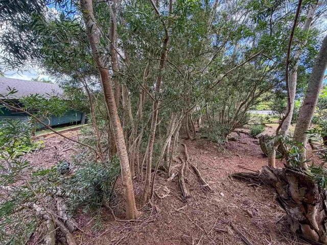 Listing Image for 2108 Akeu Way 6 of 9