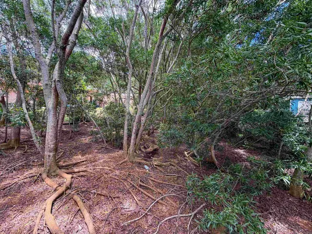 Listing Image for 2108 Akeu Way 8 of 9