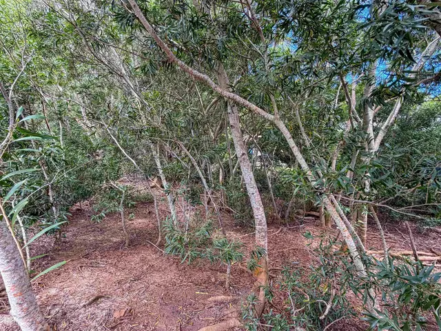 Listing Image for 2108 Akeu Way 9 of 9