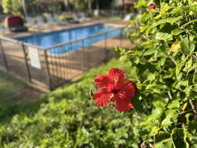 Listing Image for 3788 Lower Honoapiilani Rd A208 19 of 23