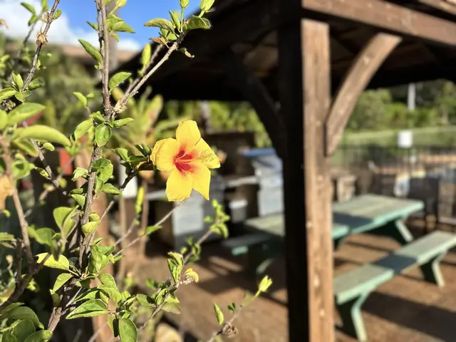 Listing Image for 3788 Lower Honoapiilani Rd A208 21 of 23