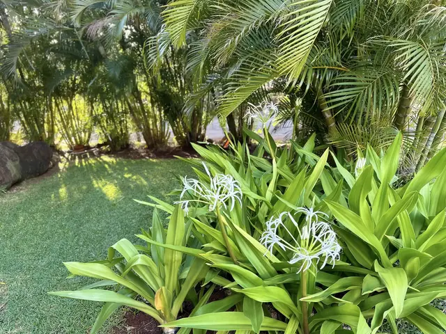 Listing Image for 3788 Lower Honoapiilani Rd A208 23 of 23