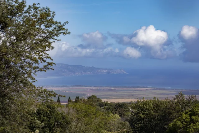 Listing Image for 450 Hoopalua Dr 39 of 43