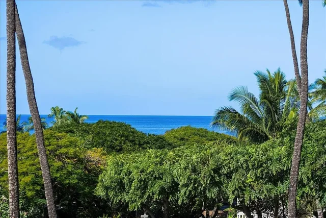 Listing Image for 2531 S Kihei Rd D214 17 of 48