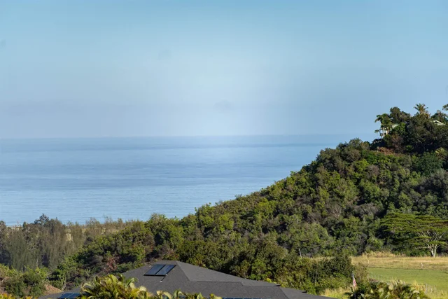 Listing Image for 1022 Auwaha Pl Unit A 15 of 29