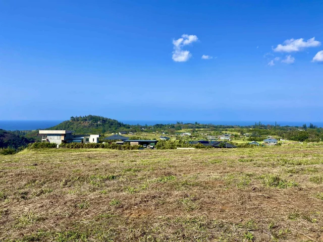 Listing Image for 1022 Auwaha Pl Unit A 22 of 29