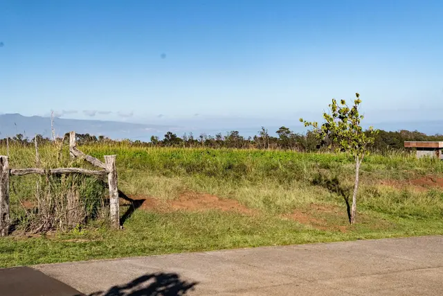 Listing Image for 1022 Auwaha Pl Unit A 28 of 37