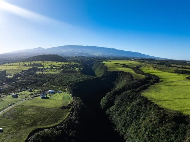 Listing Image for 1022 Auwaha Pl Unit A 29 of 29