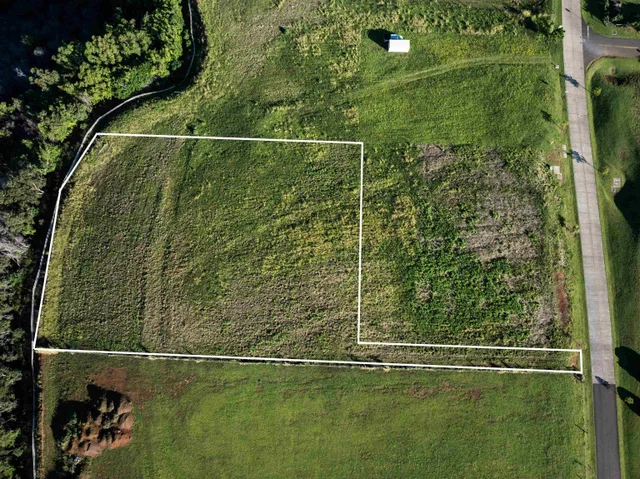 Listing Image for 1022 Auwaha Pl Unit A 8 of 29