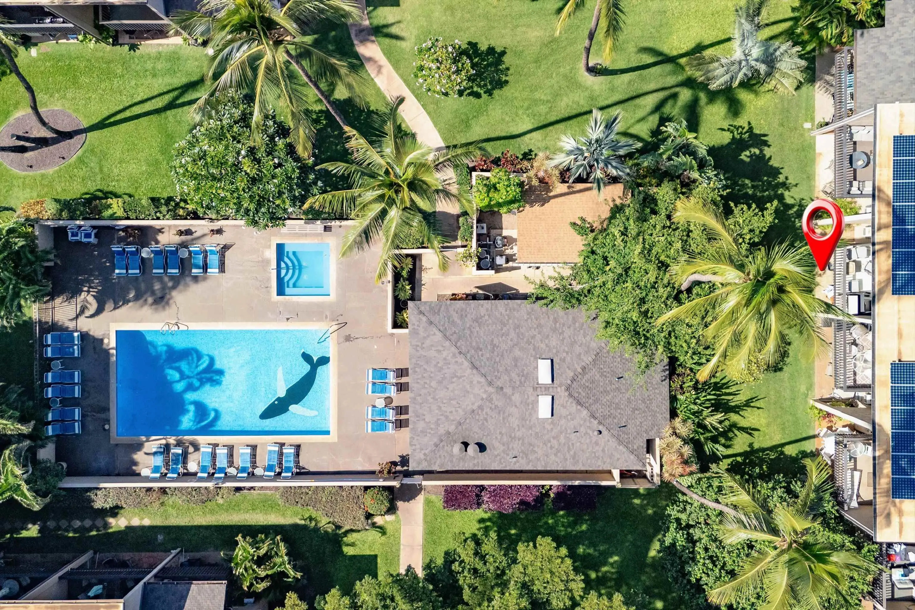 Photo of Listing #408505