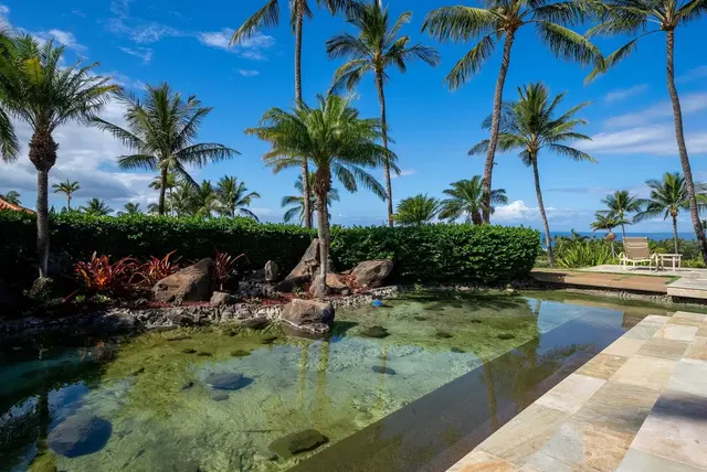 Listing Image for 3150 Wailea Alanui Dr 2707 43 of 48