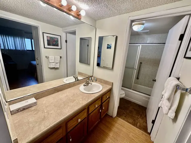 Listing Image for 1000 Kamehameha V Hwy 229c 10 of 26