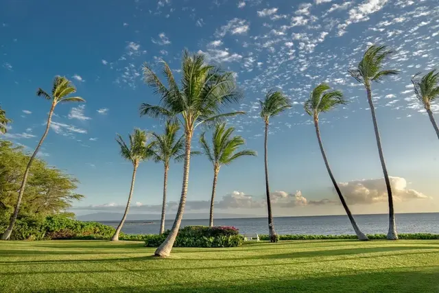 Listing Image for 1000 Kamehameha V Hwy 229c 21 of 26