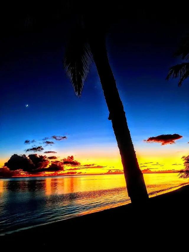 Listing Image for 1000 Kamehameha V Hwy 229c 24 of 26