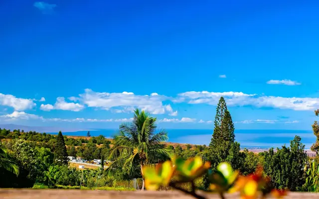 Listing Image for 280 Auli'i Dr 17 of 50