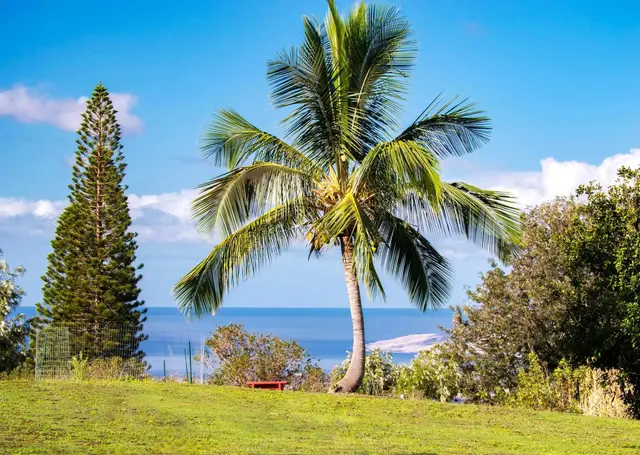 Listing Image for 280 Auli'i Dr 26 of 50