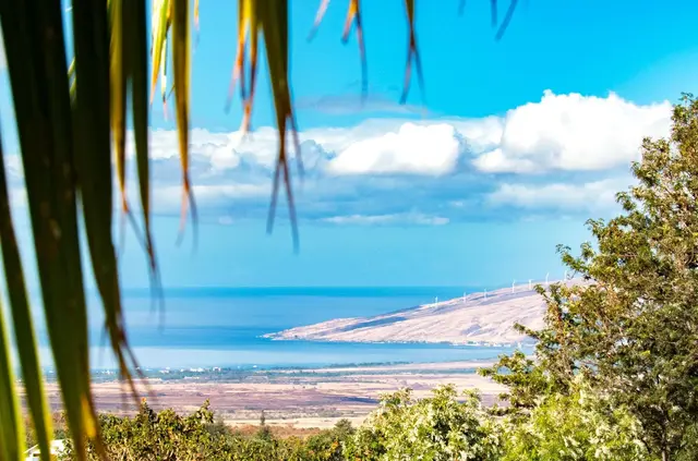 Listing Image for 280 Auli'i Dr 35 of 50