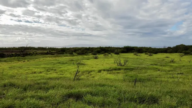 Listing Image for Pohaku Aeko St 26 11 of 21