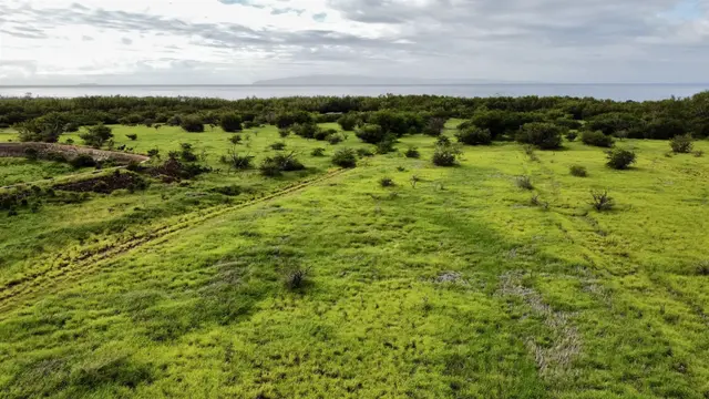 Listing Image for Pohaku Aeko St 26 16 of 21