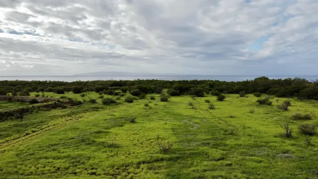 Listing Image for Pohaku Aeko St 26 9 of 21