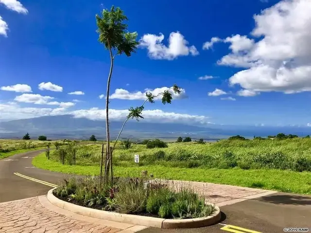 Listing Image for 216 Huahua Pl Lot 24 9 of 27