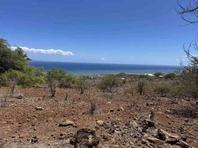 Listing Image for 303 Makanui Rd Lot 225 4 of 8