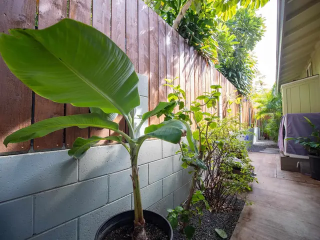Listing Image for 1895 Anapa Pl B 22 of 43