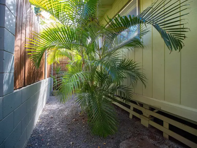 Listing Image for 1895 Anapa Pl B 23 of 43