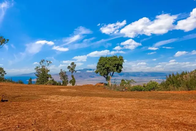 Listing Image for 0 Haleakala Hwy Unit 6 2 of 16