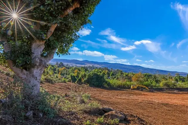 Listing Image for 0 Haleakala Hwy Unit 6 6 of 16